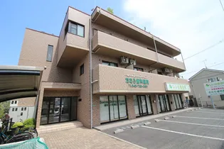 ブルックスソレイユの画像