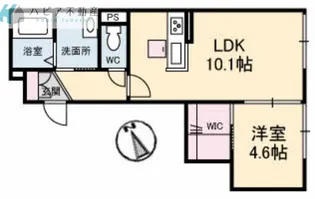 Reine若宮町【3階】の間取り