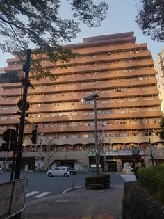 永谷リヴェール新宿【10階】の外観