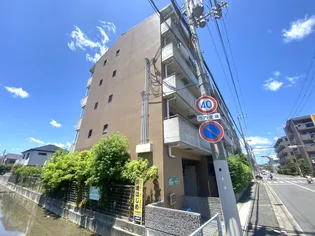 エクセレントスプリングの画像