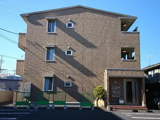 グレイスの画像