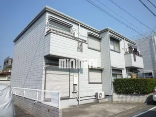 クレマチスの画像