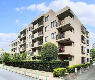 エバーグリーンコートの画像