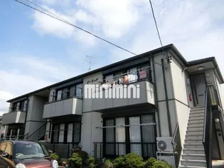 オーキッドの画像