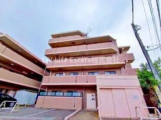 エステルハージーAの画像