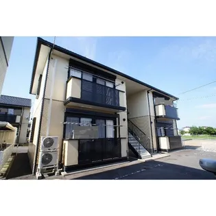 アビエスの画像