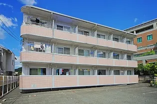 ウイングの画像