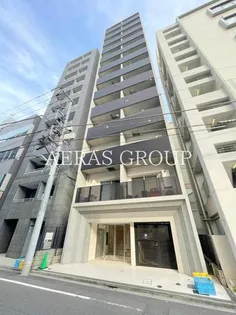 DORF21 SUMIKAの画像