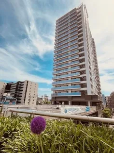 BRILLIATOWER横浜東神奈川の画像