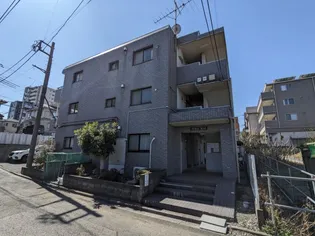 K Yリーフの画像