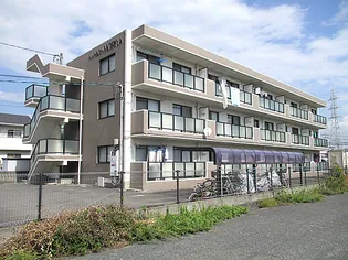 岡山県倉敷市玉島1【マンション】の外観