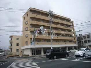 パレスコンフォート大和町の画像