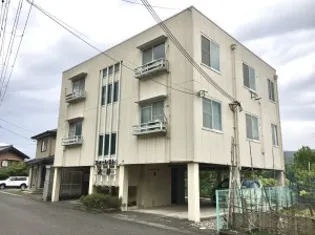 フォーレスト辻井の画像