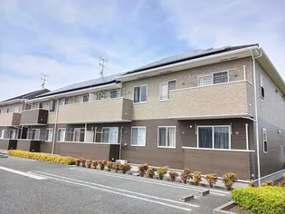 アングレカム Dの画像