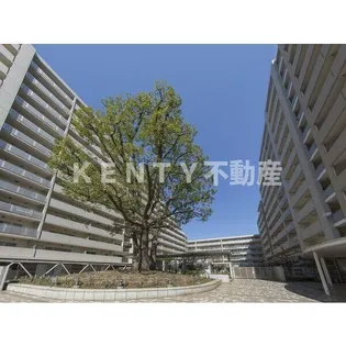 シティコート目黒4号棟【11階】の外観