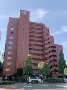 ライオンズマンション白山の画像