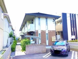 プロヌーブ位式の画像