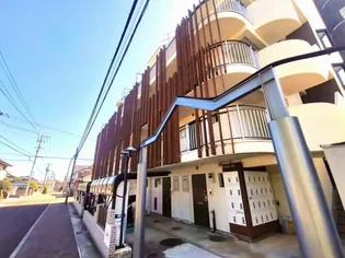 フラットTの画像