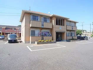 セントラルフィールドの画像