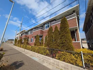 エスコート礼の画像