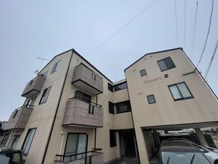 エキスパートIIIの画像