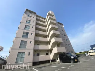 徳島県徳島市川内町金岡【マンション】の外観