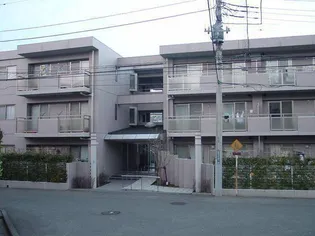 レアルパラシオの画像