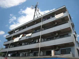 プリティしゃがの画像