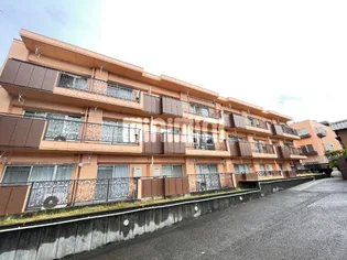 SHINE SMILYの画像