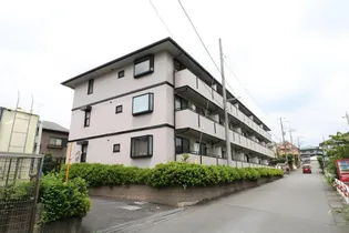 埼玉県さいたま市南区大字大谷口【アパート】の外観