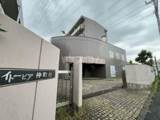 イトーピア仲町台【4階】の外観