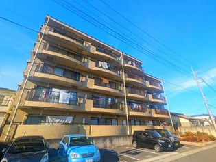 シャルマン2の画像