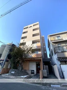 パレフルールの画像