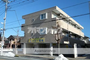 埼玉県坂戸市南町【マンション】の外観