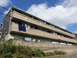 ルシャトーM【1階】の外観