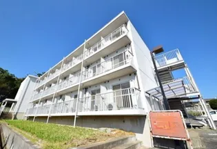 ヴァルトジンの画像