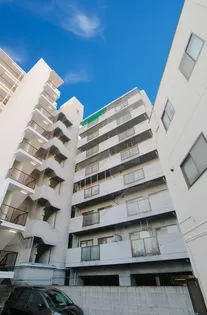 大阪府大阪市平野区平野宮町1【マンション】の外観