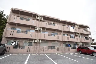 Y&Mシルキーの画像