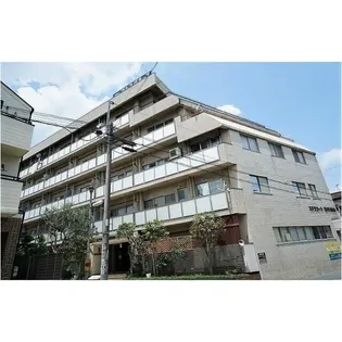 ステラ コート 大山の画像