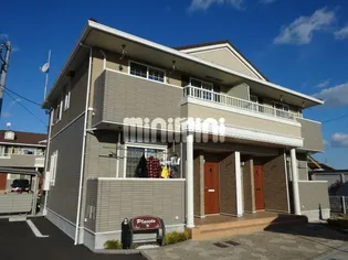 プラシードⅠの画像