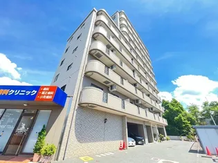 グラビスコート福本の画像