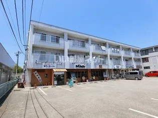 ハミングバードIIの画像