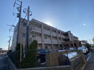 フリーゼの画像