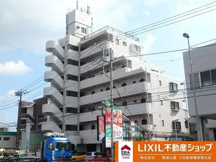 ホワイトパレス万年青の画像