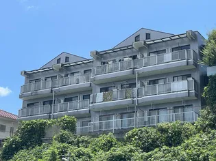 湘南田浦ダイカンプラザの画像