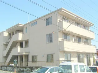LAMBS HILLラムズヒルの画像