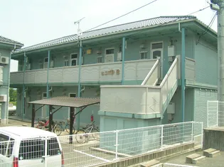 ヒコボシBの画像