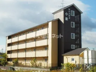 マイハウス小泉【4階】の外観