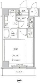 パティーナ住吉Tria【7階】の間取り