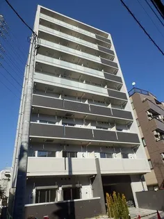 シエロ フィオーレの画像